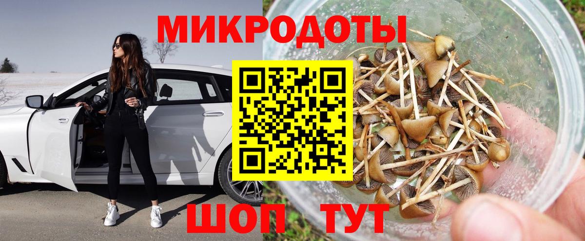 Саки  Галлюциногенные грибы ЛСД  Вход с VPN 